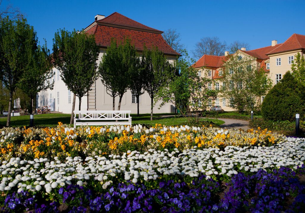 3 Königinnen Palais Mirow